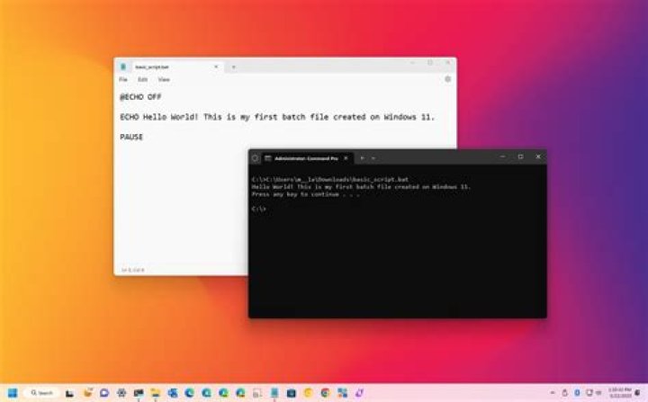 Why doesn't my batch script run all lines?