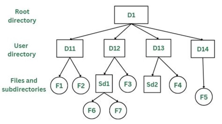 Why doesn't target destination in Testdisk have a directory tree?