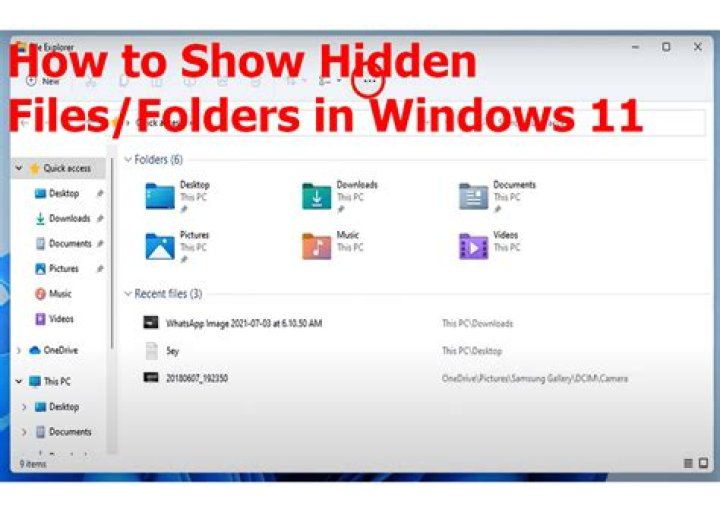 Why doesn't this show the hidden files/folders?