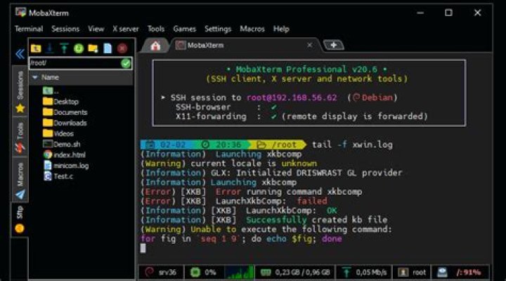 Why in SSH appears the -T parameter in the Ubuntu documentation but not in the terminal/console?