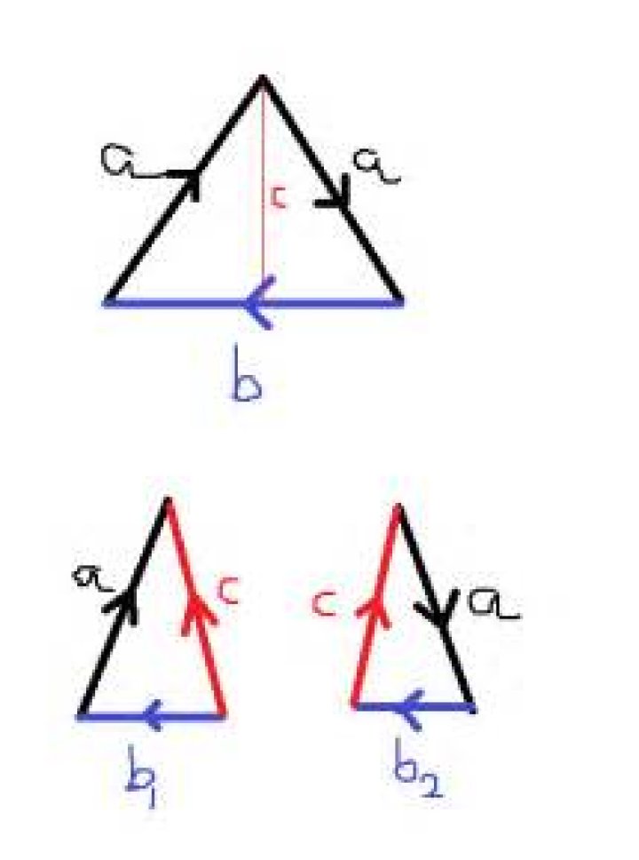 Why is a triangle with edges identified according to $aab$ a Mobius strip?
