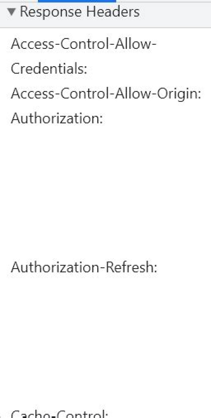 Why is Access-Control-Expose-Headers needed?
