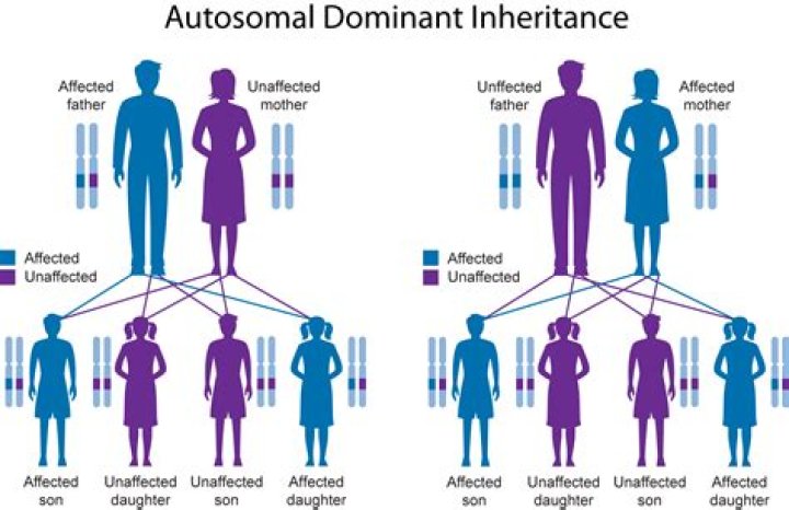 Why is inherited member not allowed?