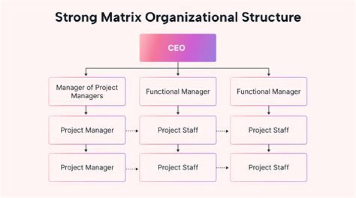 Why is matrix not a different field altogether?