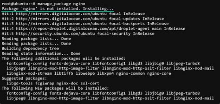 Why is neither /root/.bashrc nor /root/.profile executed after sudo -i?