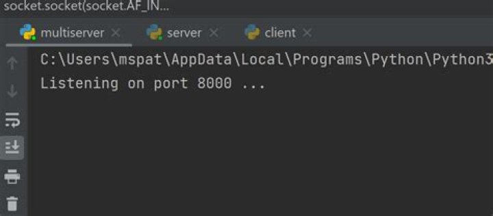 Why is python listening on port 8000?