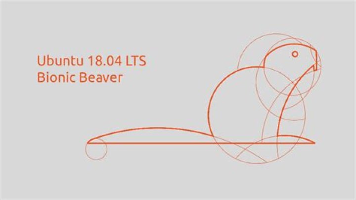 Why was ubuntu 18.04 Bionic Beaver so slow for me?