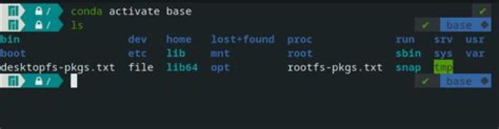 Why Zsh terminal icons are not getting displayed in Atom Platformio Ide Terminal?