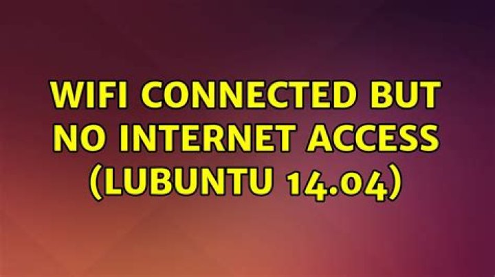 Wifi connected but no internet access (Lubuntu 14.04)