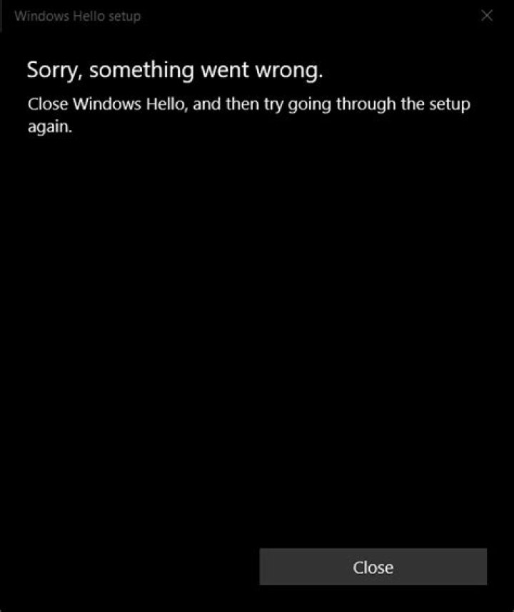 windows 10 fingerprint: sorry, something went wrong