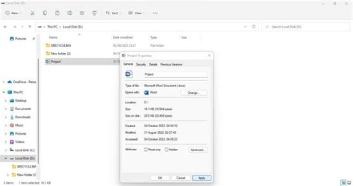 Windows 10 - Read-only File Flag Has No Effect