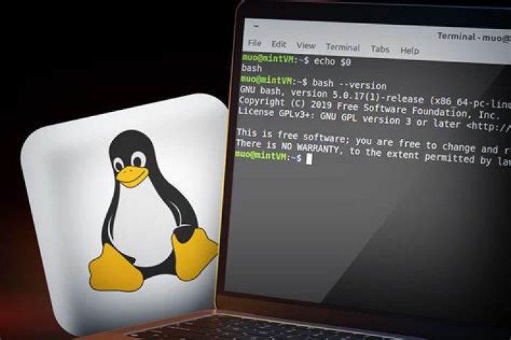 Windows CMD for Linux?