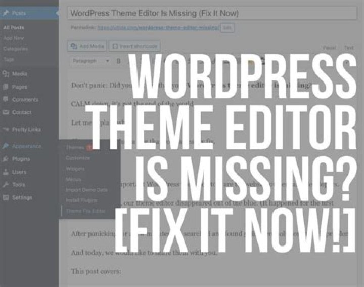 WordPress theme editor is missing
