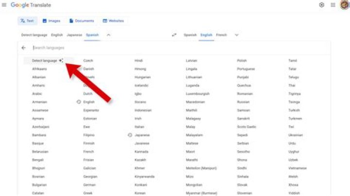 wrong language detection with google translate (multiple languages)