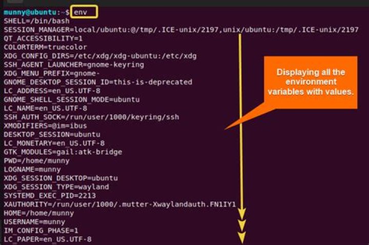 wrong order of env variables