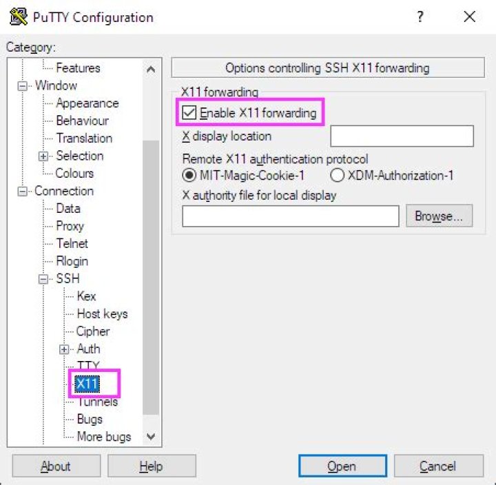 X11 Forwarding over ssh - Could not find ':' in DISPLAY: needs-to-be-defined