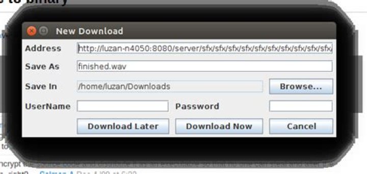 XDM Started multiple downloads at once
