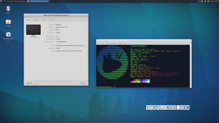 Xubuntu 18.4 freeze when on youtube and online sudoku