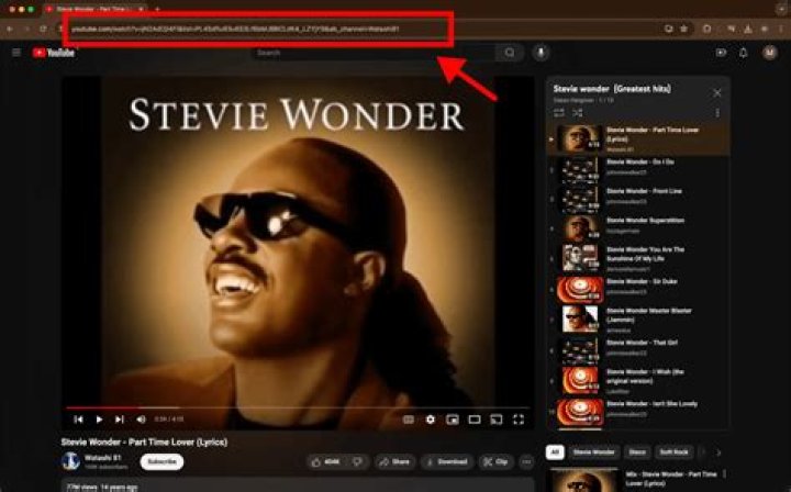 Youtube dl how to download all playlist devided into different foledrs?
