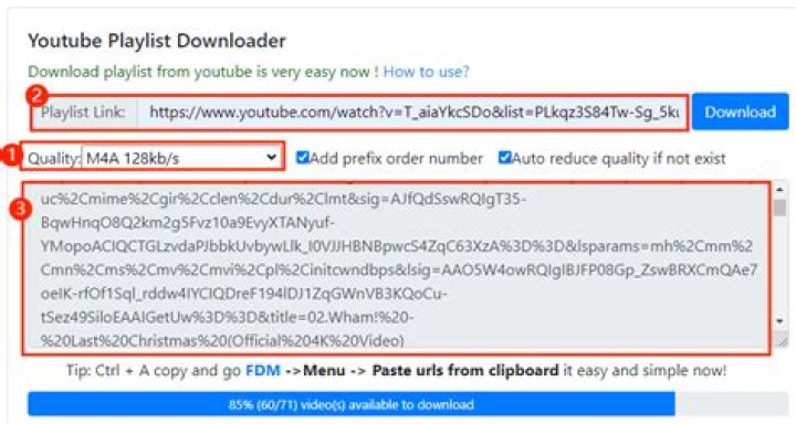 youtubemultidownloader