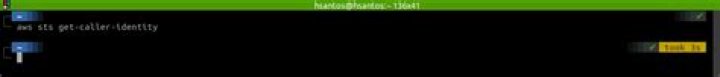 zsh: keep all command outputs on terminal screen